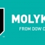 MOLYKOTE